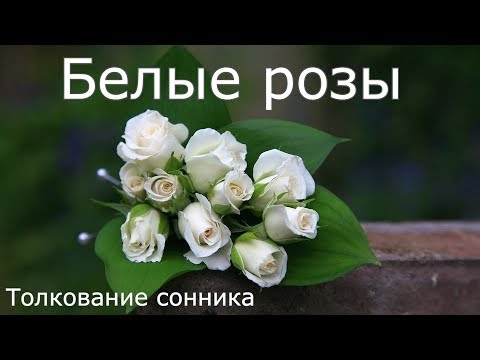 Белые розы - толкование сонника