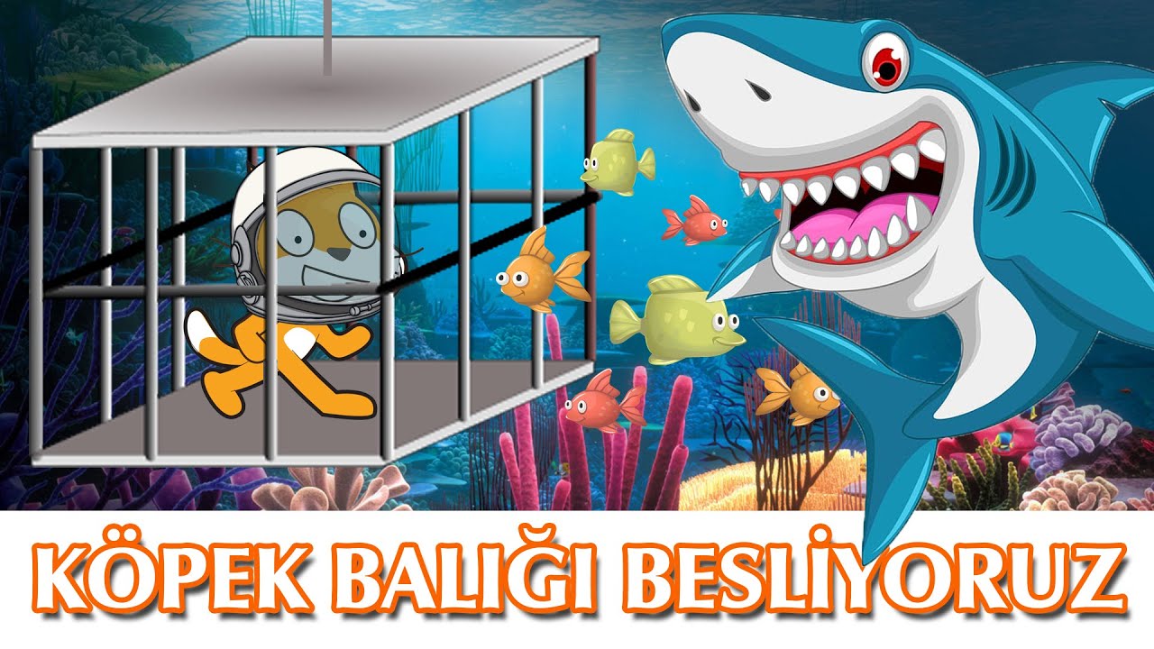 betlima Etkinlikler İle İlgili Sorun Yaşıyorsanız, Sorunu Çözmüşsünüz Demektir.