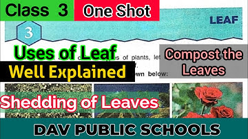 DAV class 3 Science Chapter 3 Leaf - Full Chapter