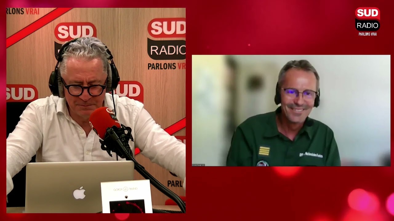 Découvrez la forêt domaniale du Mont Ventoux