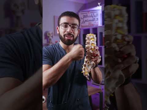 أشهر أسباب ألم أسفل الظهر ضعف هذه العضلات