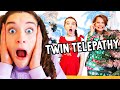 TWIN TELEPATHY CHRISTMAS TREE Guessing Challenge By The Norris Nuts