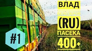 #1 #Пчеловод Влад Белозеров (Russia) и его #пасека 400+