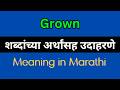 Grown Meaning In Marathi / Grown explained in Marathi