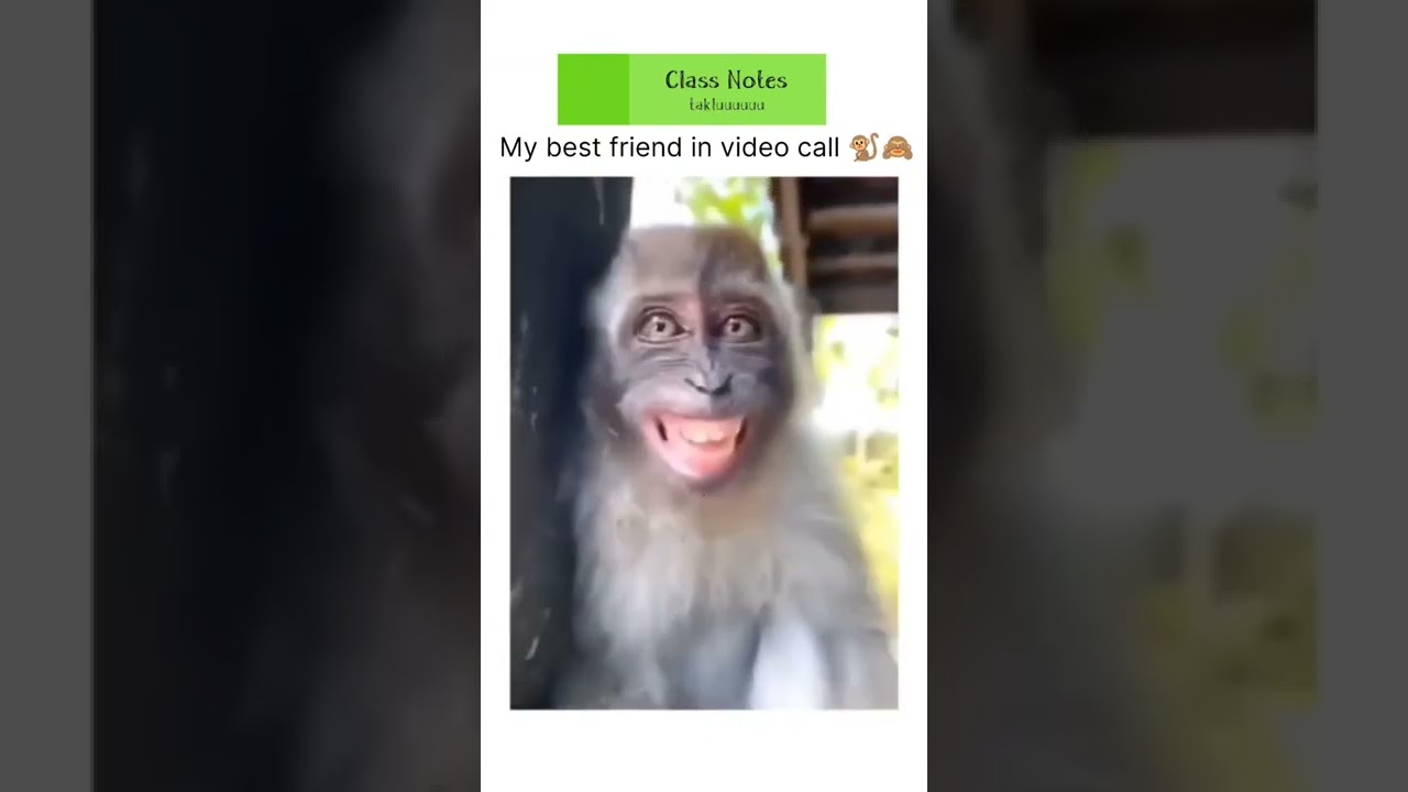 best friend funny status sorts funnyshorts YouTube