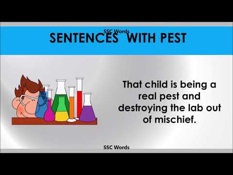 pest---improve-english---meaning-and-5-sentences---gre-/-cat-/-gmat-word---ssc-words