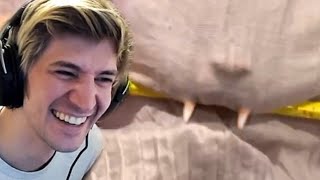 xQc CRIES FROM LAUGHING at UNUSUAL MEMES V193