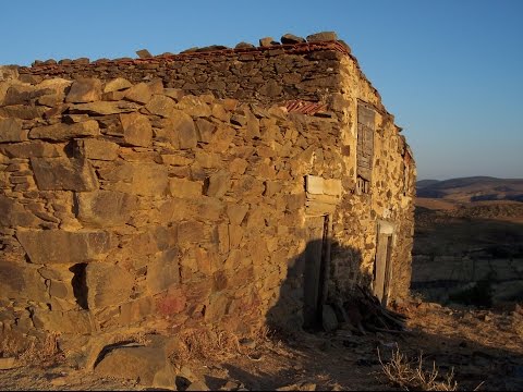 Βίντεο: Χύνονται τα πρόβατα romanov;