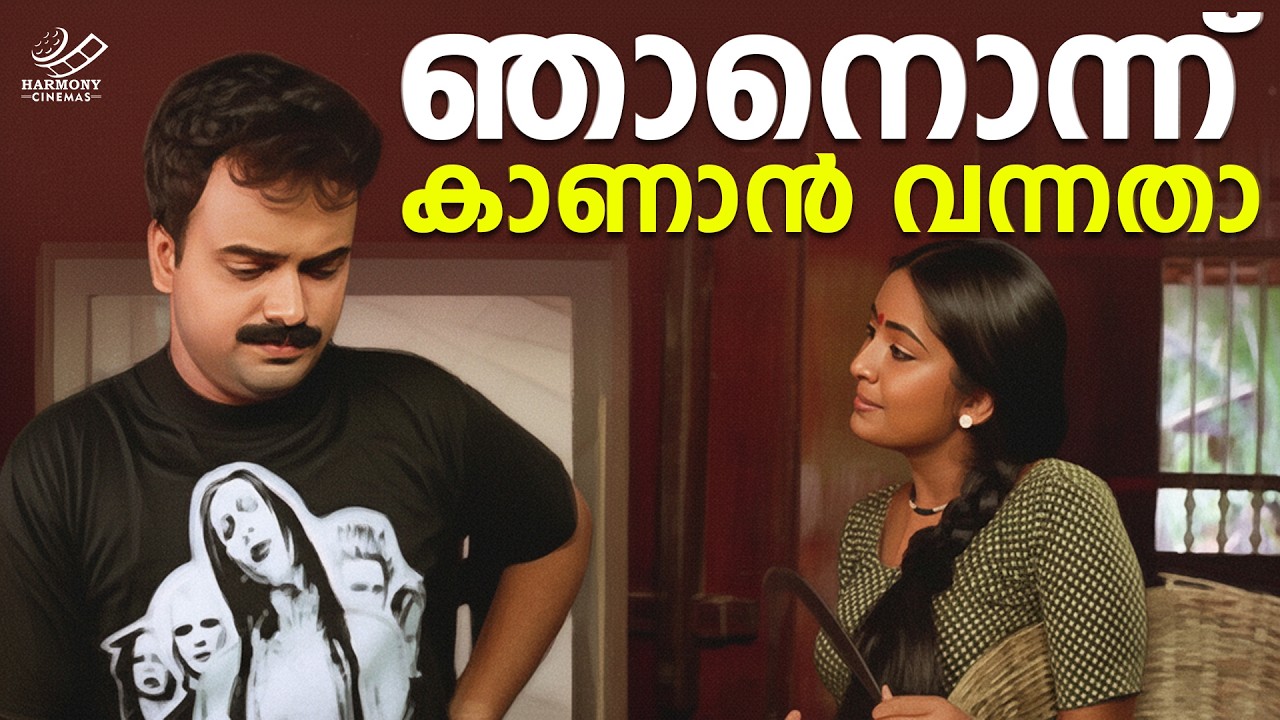 ഞാനൊന്ന് കാണാൻ വന്നതാ | Jalolsavam Movie | Malayalam Movie Scene | Kunchacko Boban | Navya Nair