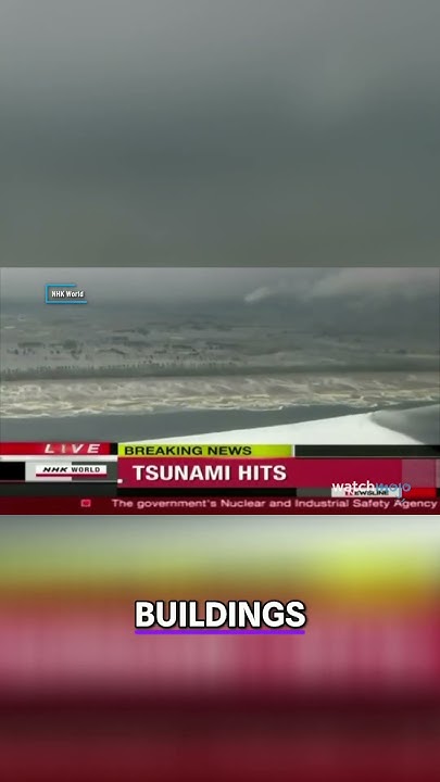 Japans tsunami caught on camera