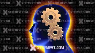 Brain Gears Spinning