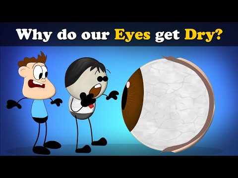 Why do our Eyes get Dry? + more videos | #aumsum #kids #science #education #children