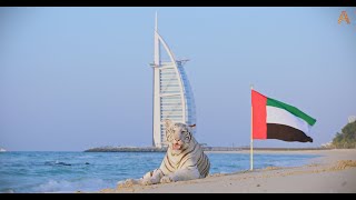 Animalia - The UAE celebrates Flag Day