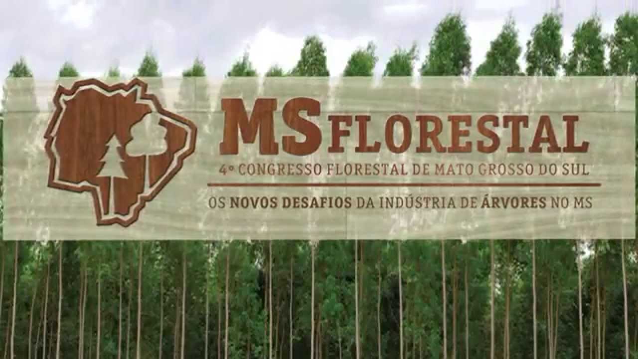 MS FLORESTAL 2015 - Inovação e desafios
