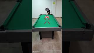 "One Mistake and the Cue Ball Drops" 🎱🤯 #shorts  #billiards