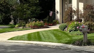 2 Weeks after install | Sod the Right Way vs Wrong Way