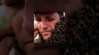 Meat-Honey? The Shocking Diet of Vulture Bees 😱