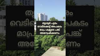 തൃശൂർ പൂരം കലക്കാൻ മാപ്ര ശ്രെമിച്ചോ