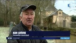 Des oies en liberté inquiètent les habitants de Neuvy-sur-Loire