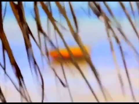 Moçambique destino fascinante