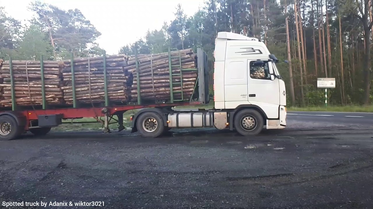 Patora Transport Wywózka drewna z lasu YouTube