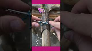 Genius trick to tie a shovel handle using wire tightly #knotskills #lifehacks #DIYtools #fixit