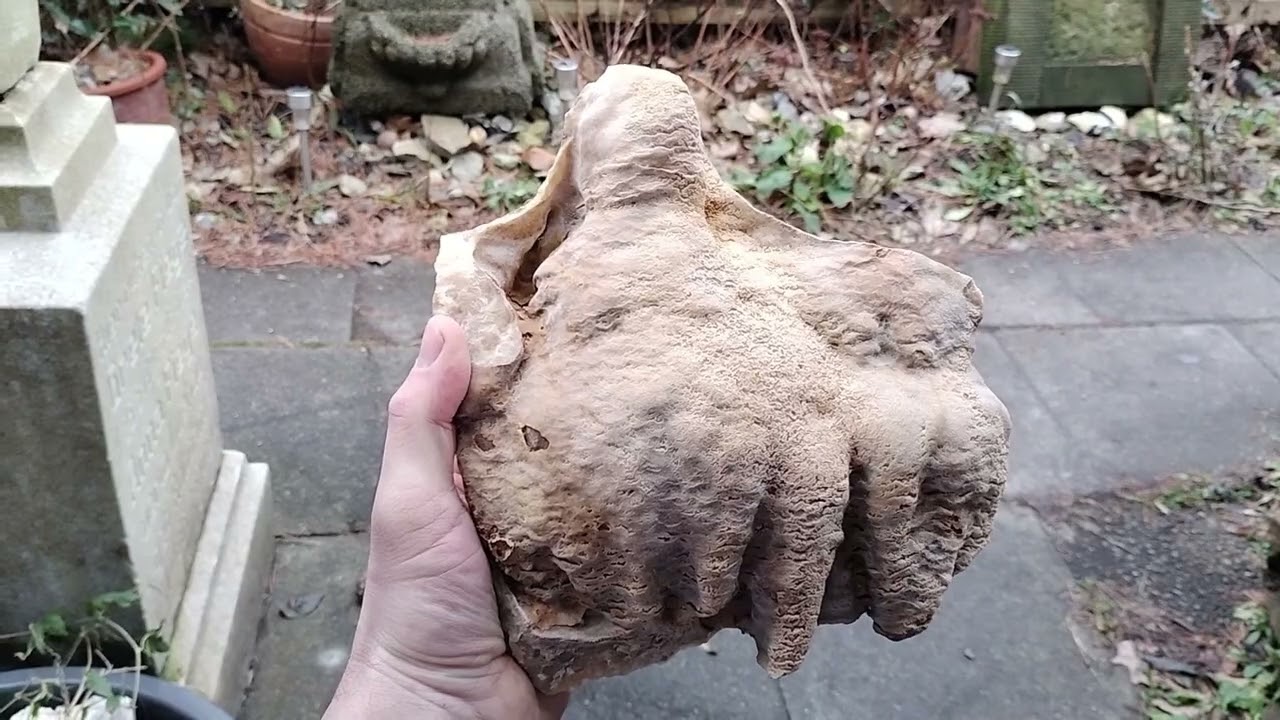 Mineralsuche im Deister