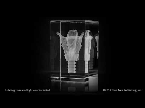 Larynx 3D Laser Medium Crystal, Anatomy, Voice Box, Singing, Adam's Apple video