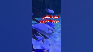 الجزء الثاني سورة الكافرون #قصص_هادفة #اكسبلور #القرآن_الكريم #القزابري #المصحف #قصص_إسلامية #قصص