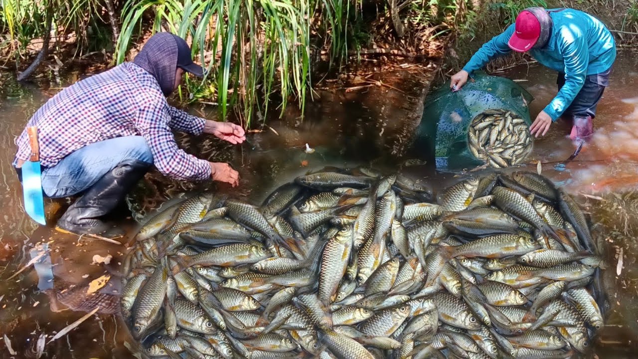 !!เจอแบบนี้หัวใจแทบวาย!!ใส่ตุ้มปลากะเข้าหลายคักโอ้นโต้นแทบทุกหลัง17ก.พ67