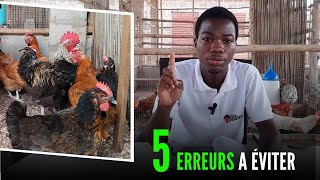 ATTENTION : 5 Erreurs à Eviter en Elevage de poulet local Pour Gagner de L'argent