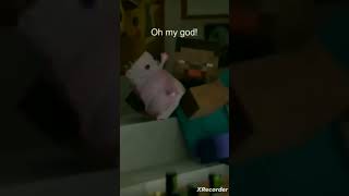 Foolish Steve Smell Axolotl Farting And Subscribe For More