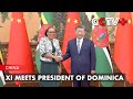 Xi Meets President of Dominica