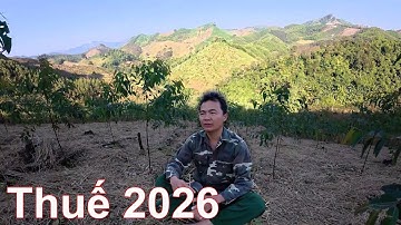 Thuế kê khai 2026: Lo ngại cho mấy anh em sẽ phải giải thể, phiêu lưu trong rừng