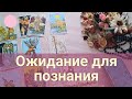 Его реакция на Вас.💯Его надежды.🍒🍓💝🍎🌟✨🌹