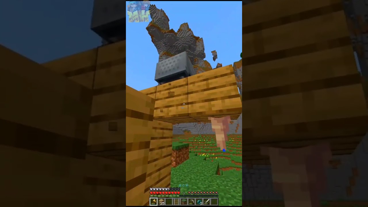 Best Minecraft tas Player