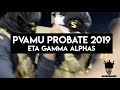 PVAMU 2019 Probate Video Alpha Phi Alpha