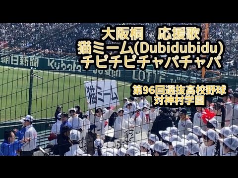 大阪桐蔭応援歌 猫ミーム(Dubidubidu) チピチピチャパチャパ