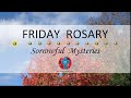 Friday Rosary • Sorrowful Mysteries of the Rosary 💜 November 17, 2023 VIRTUAL ROSARY - MEDITATION