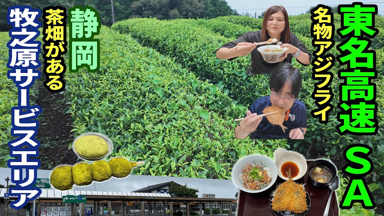 【ＳＡで車中泊】静岡をアラフィフ夫婦２人と３わんで楽しむ旅～茶畑がある牧之原サービスエリアで車中泊！お茶グルメに名物アジフライで静岡満喫！
