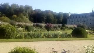 FRANCE(77)
