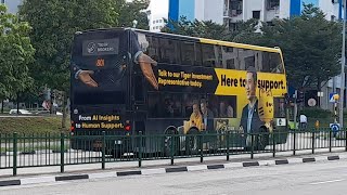 (Tiger Brokers Full Body Advertisement) SMB3554J(MDDEP) On Service 801 At Yishun Avenue 6