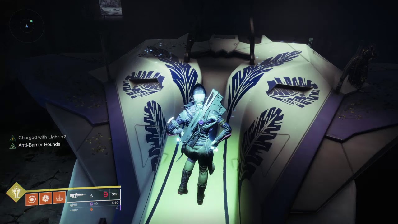 Destiny 2 - Got the Radiant Accipiter