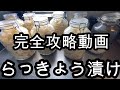 【カリカリ聴かせます】2021最新らっきょうの作り方パート２【プロが伝授！必ず成功】