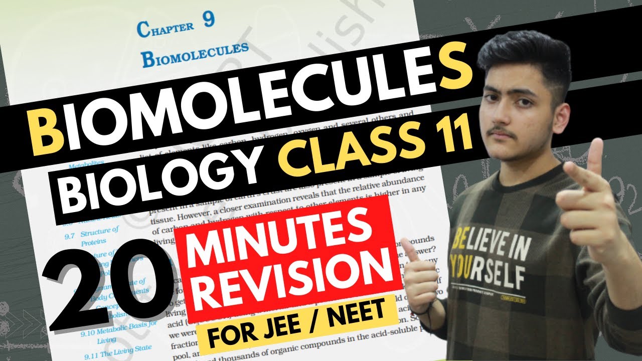 assignment on biomolecules class 11