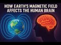 How Earth’s Magnetic Field Affects the Human Brain