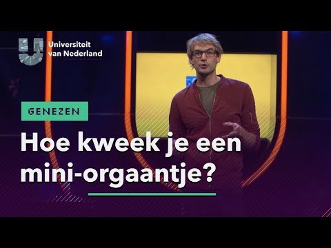 Video: Hoe Om 'n Gewete Te Kweek