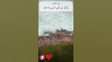 وتوكل على العزيز الرحيم | سورة الشعراء #دعاء_ورسالة