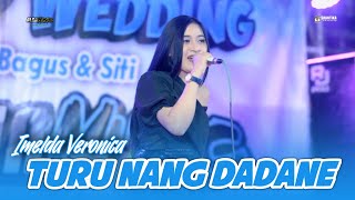 TURU NANG DADANE - Imelda Veronica - ALAN MUSIC Live Rejoso Nganjuk - Cover