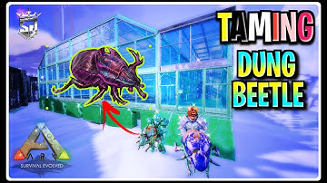 🔥HOW TO TAME DUNG BEETLE🪲 | Ark Mobile | @SparkY_isLive #arkmobile
